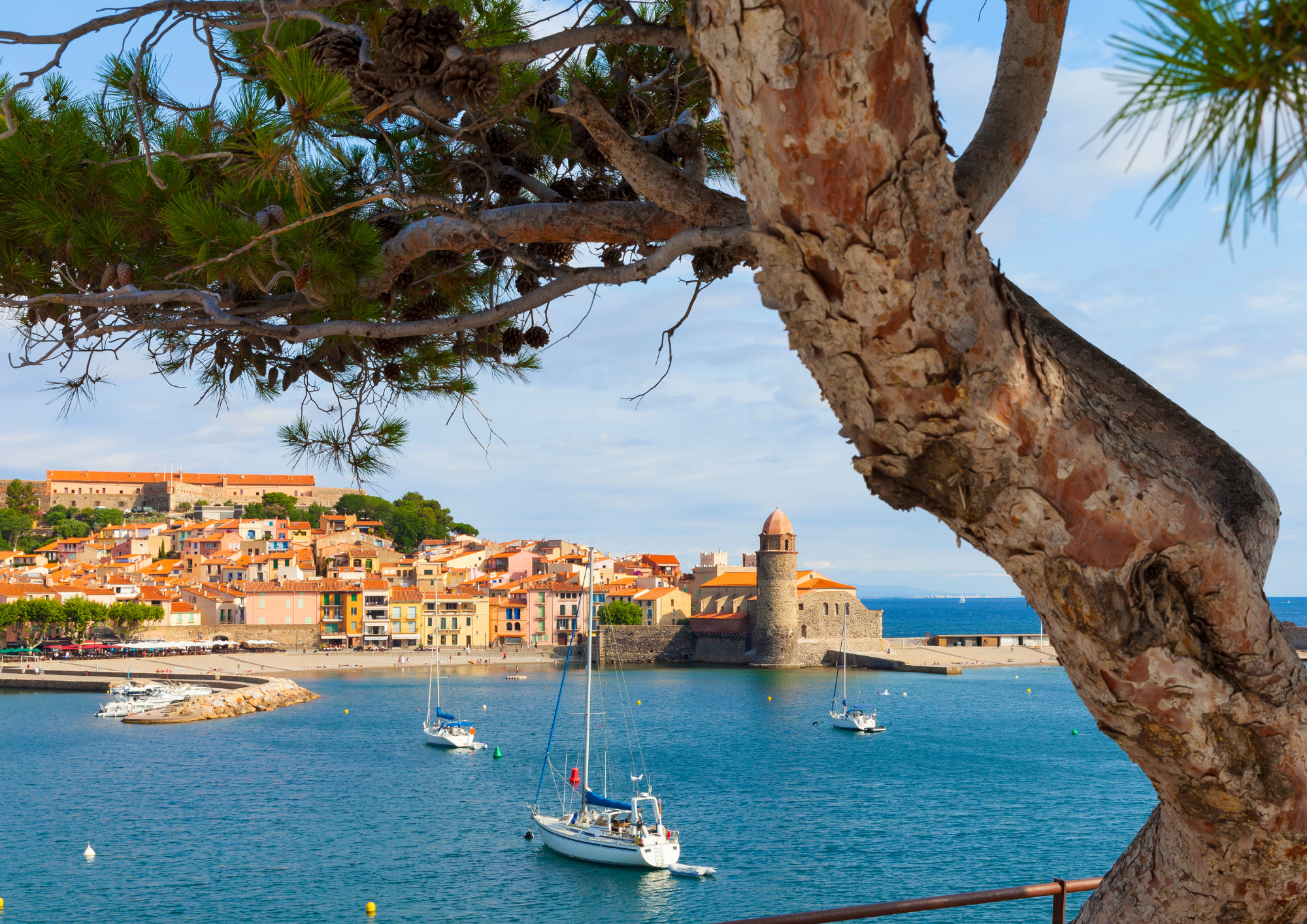 conciergerie collioure 66190 pyrenees orientales